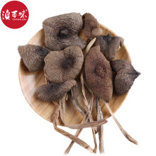 鸡枞菇干货全知道 价格、产地、品牌与品质鉴别指南