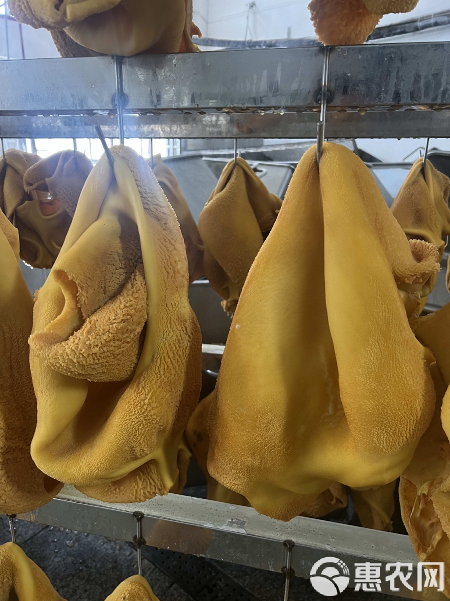 全熟卤牛肚·卤花肚·五香牛肚 干货色泽好味道好，一口回味无穷